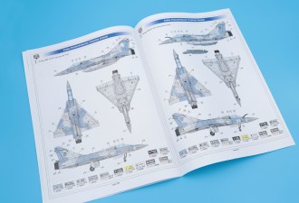 Scale model  Mirage 2000-5F jet fighter (in ZSU service)