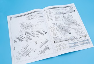 Scale model  Mirage 2000-5F jet fighter (in ZSU service)