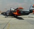 Макети SA-16A "Albatross" (Global Wildlife livery)